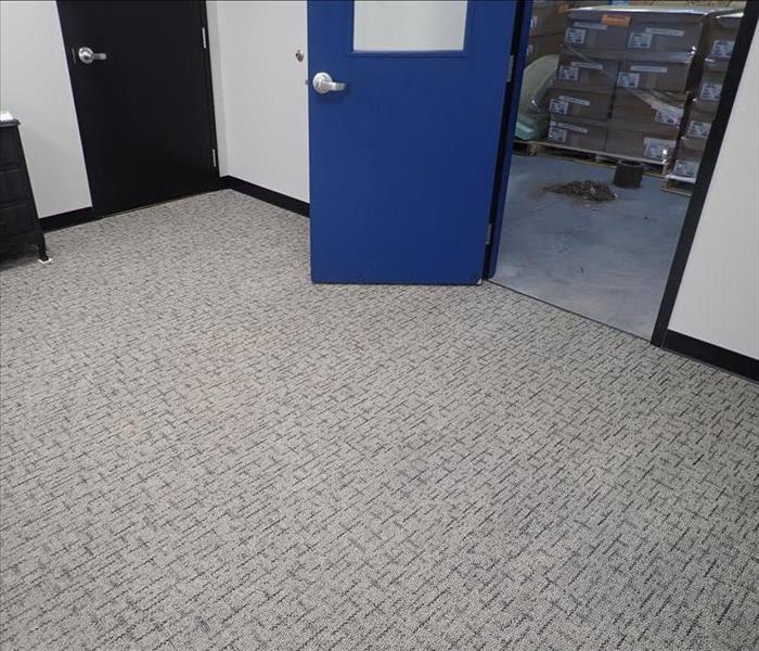 After photo of office carpet after our technicians cleaned it