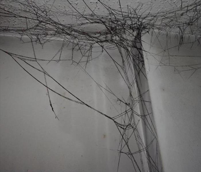 Soot web after fire in apartment