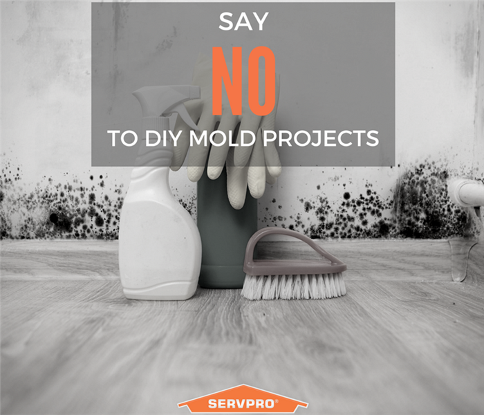 Say no to DIY mold projects